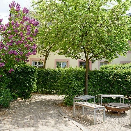 Nengshof Ferienwohnungen Mohnblume Und Kornblume Wißmannsdorf Екстериор снимка