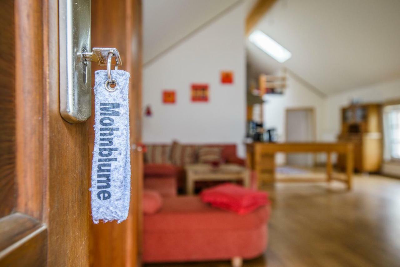 Nengshof Ferienwohnungen Mohnblume Und Kornblume Wißmannsdorf Екстериор снимка